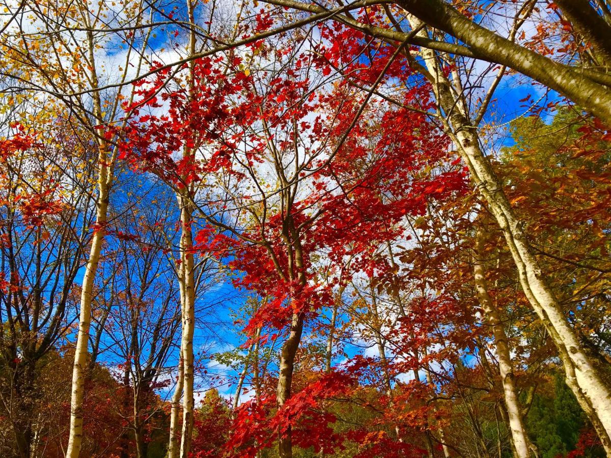 Hakuba Canadian Lodge Bagian luar foto