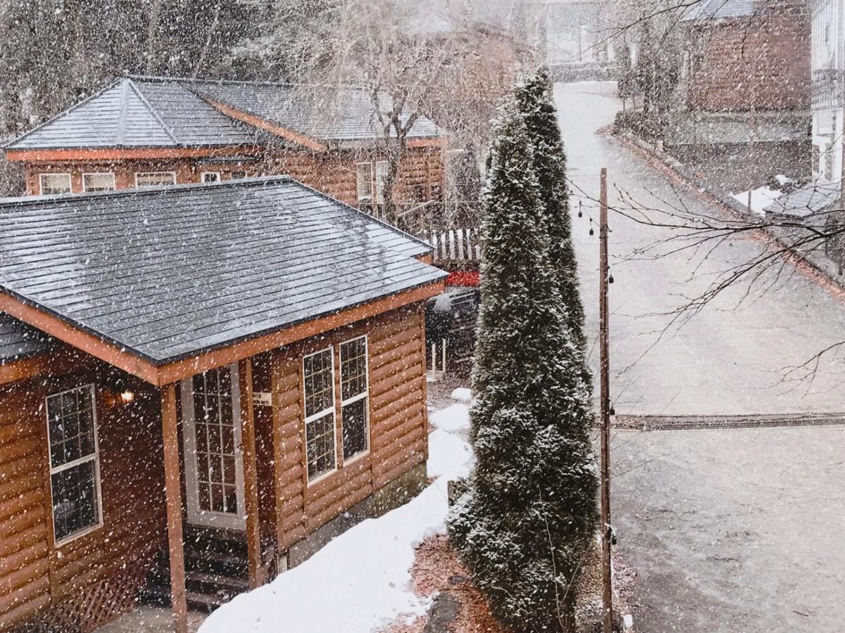Hakuba Canadian Lodge Bagian luar foto