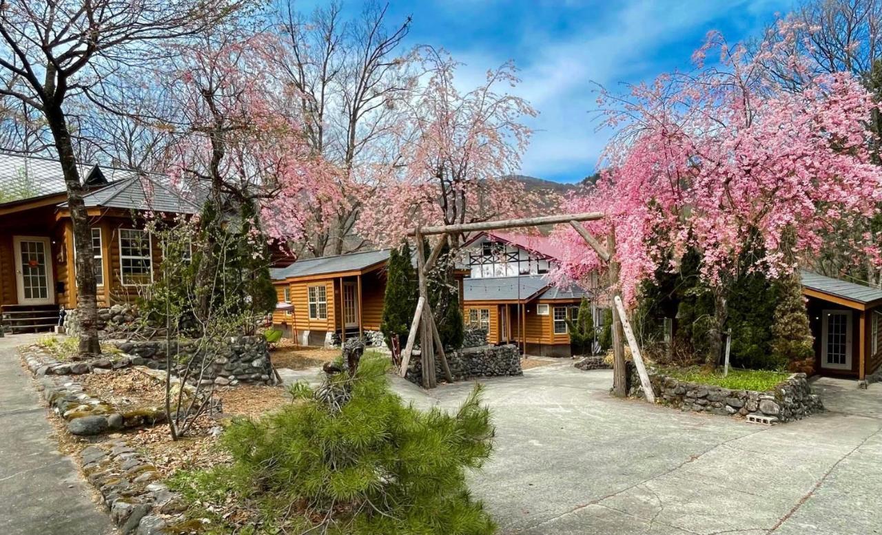 Hakuba Canadian Lodge Bagian luar foto