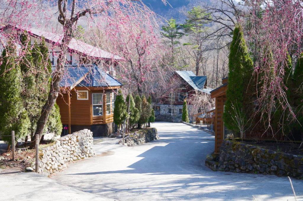Hakuba Canadian Lodge Bagian luar foto