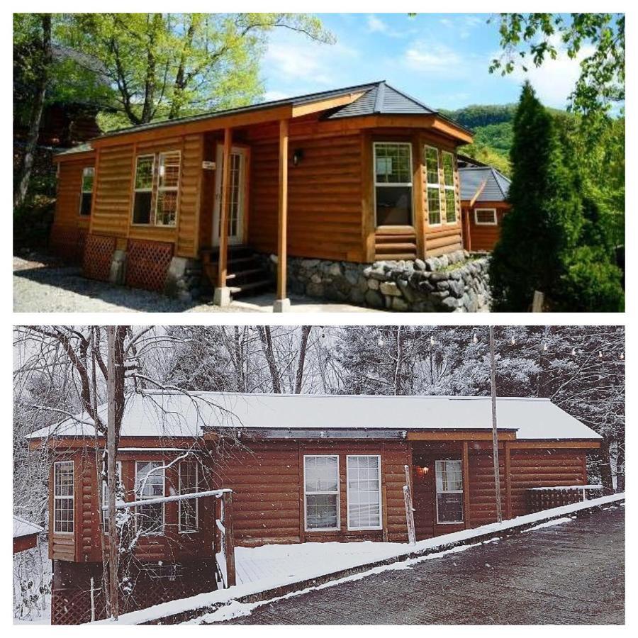 Hakuba Canadian Lodge Bagian luar foto